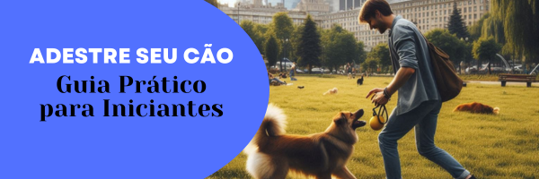 Adestre seu cão em casa