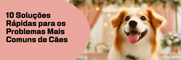 10 dicas rápidas sobre cães